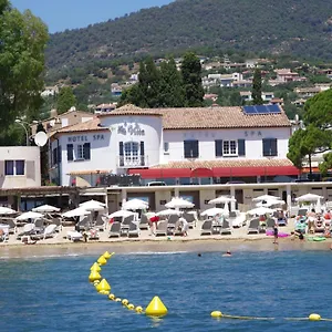 book here